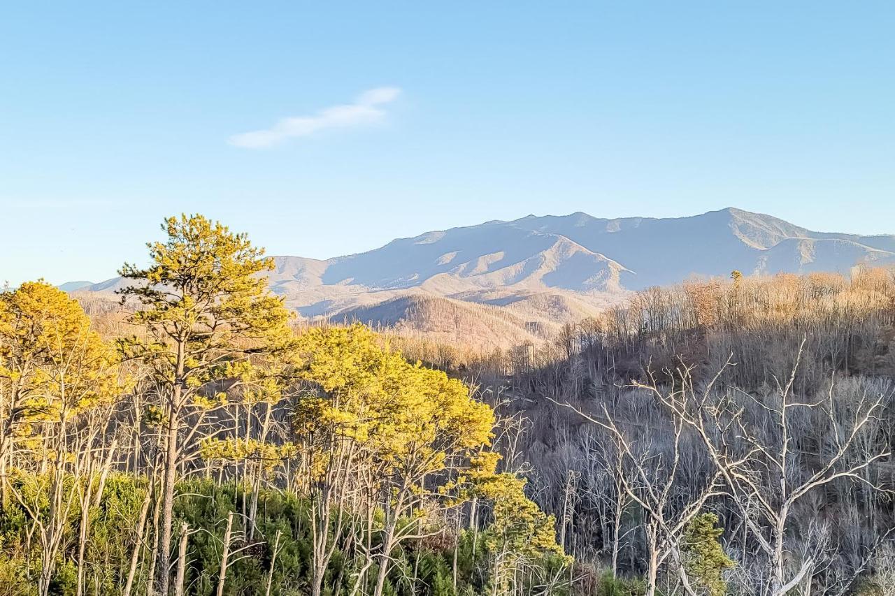 3 Lazy Bears Chalet Villa Gatlinburg Esterno foto