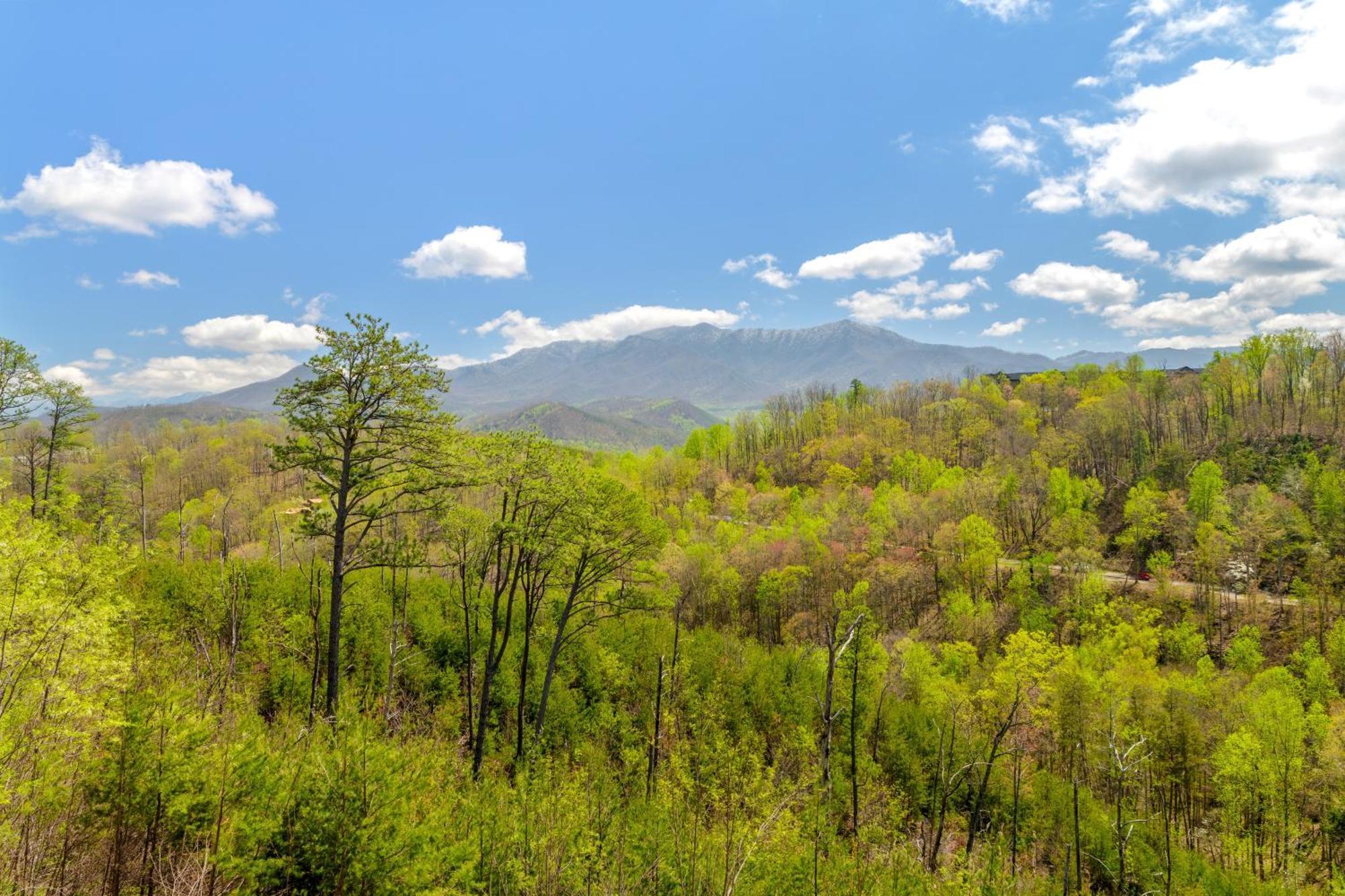 3 Lazy Bears Chalet Gatlinburg Esterno foto